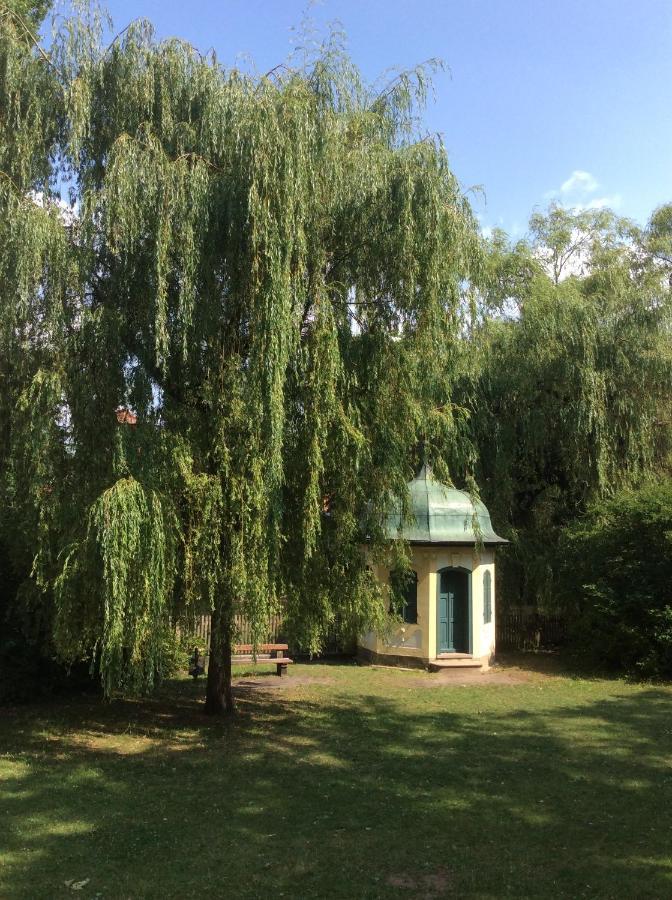 לאוף אן דר פגניץ Ferienwohnung Villa Am Fluss מראה חיצוני תמונה