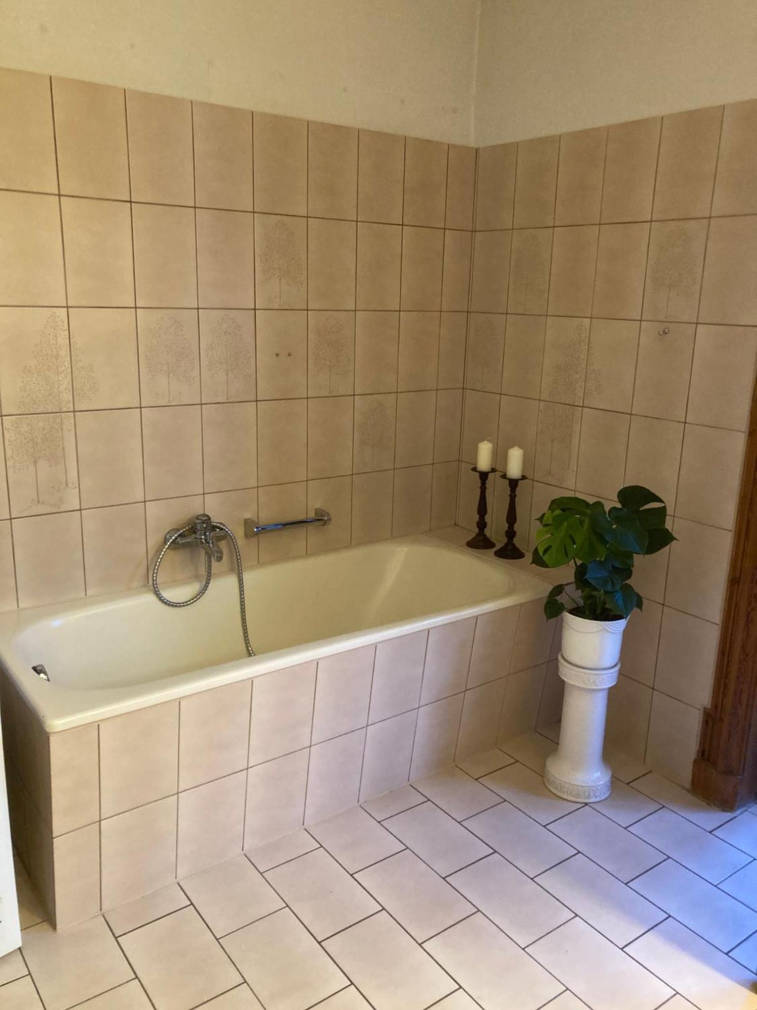 לאוף אן דר פגניץ Ferienwohnung Villa Am Fluss מראה חיצוני תמונה