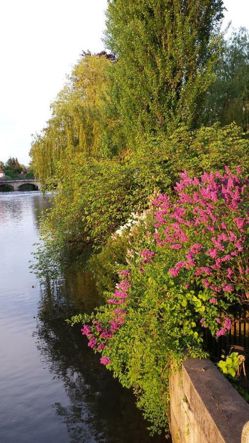 לאוף אן דר פגניץ Ferienwohnung Villa Am Fluss מראה חיצוני תמונה